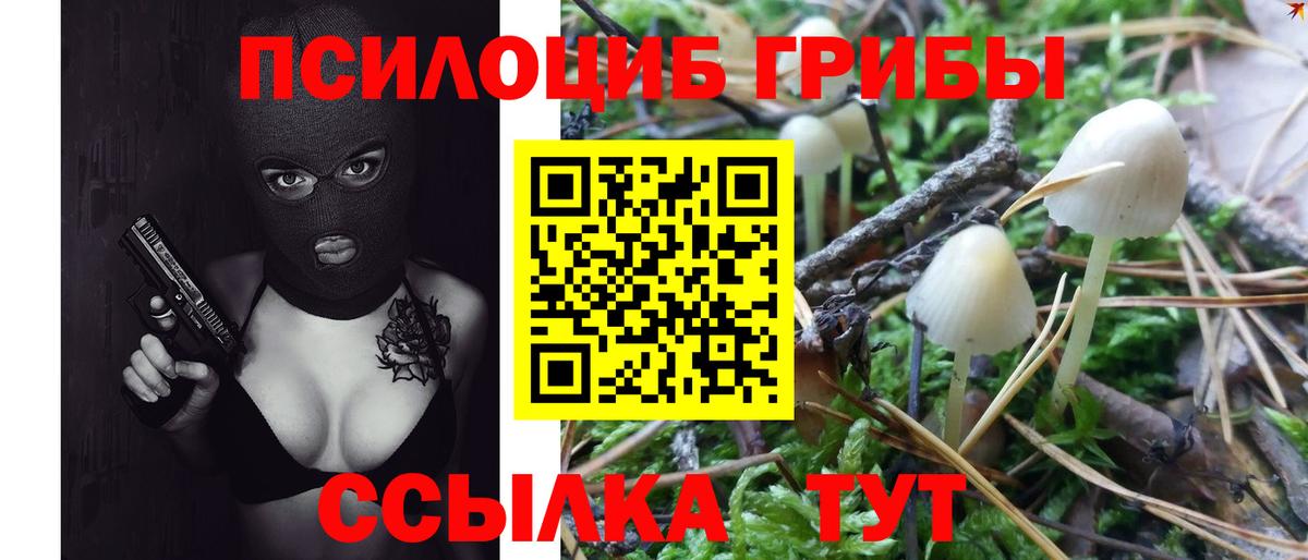 Псилоцибиновые грибы прущие грибы Ртищево